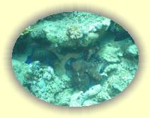 IMG_2007_05_28 14_33_50 * 2272 x 1704 * (673KB)